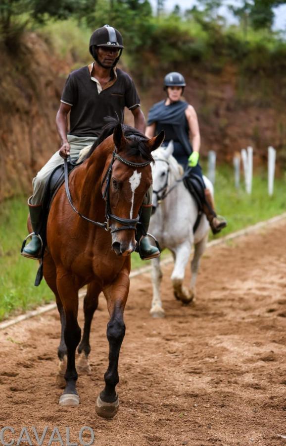 Cavalo Guesthouse & Equestrian Estate Drummond Εξωτερικό φωτογραφία