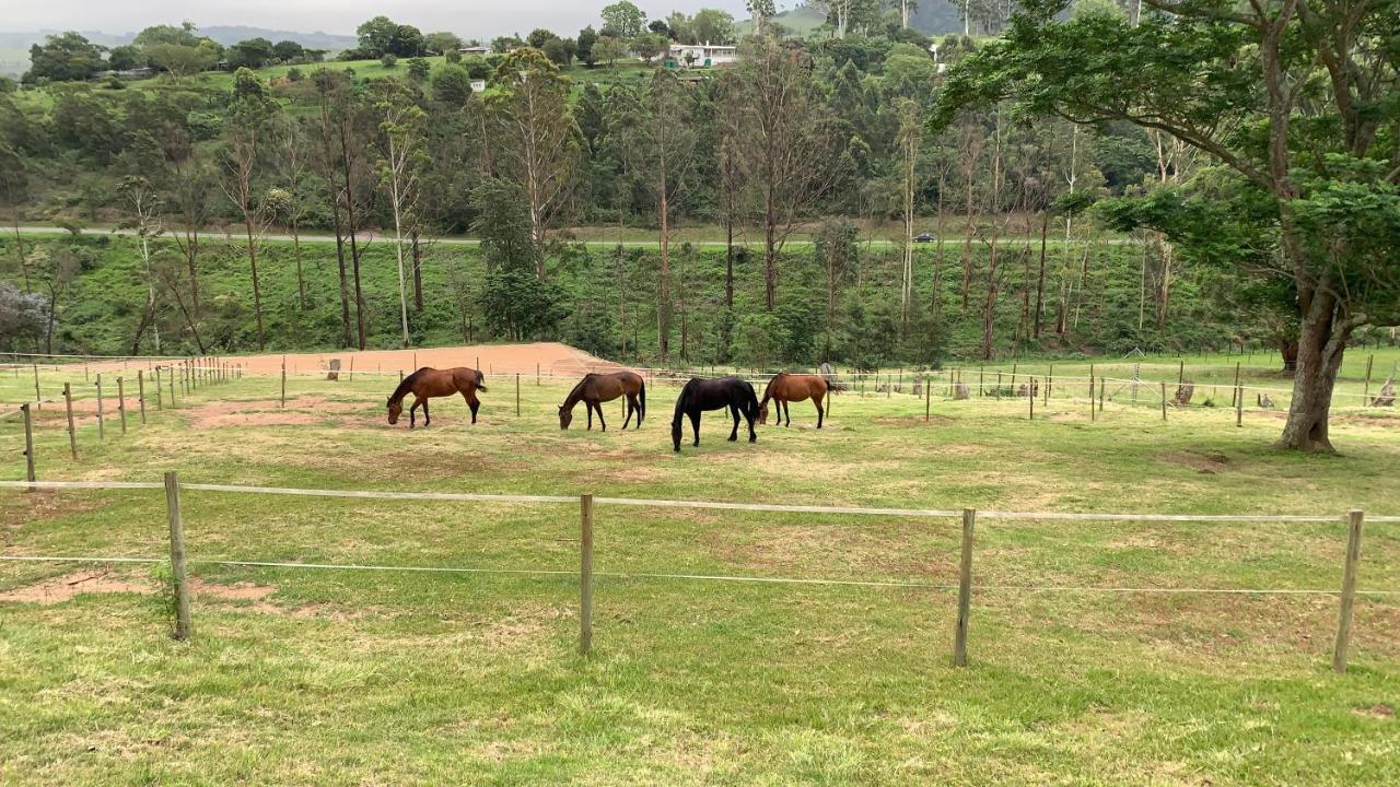 Cavalo Guesthouse & Equestrian Estate Drummond Εξωτερικό φωτογραφία