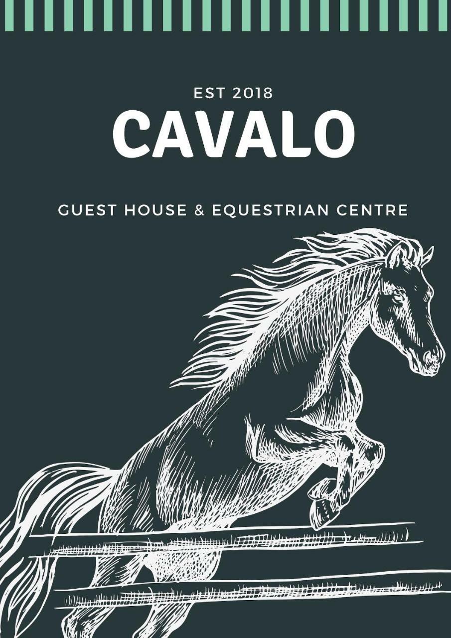 Cavalo Guesthouse & Equestrian Estate Drummond Εξωτερικό φωτογραφία