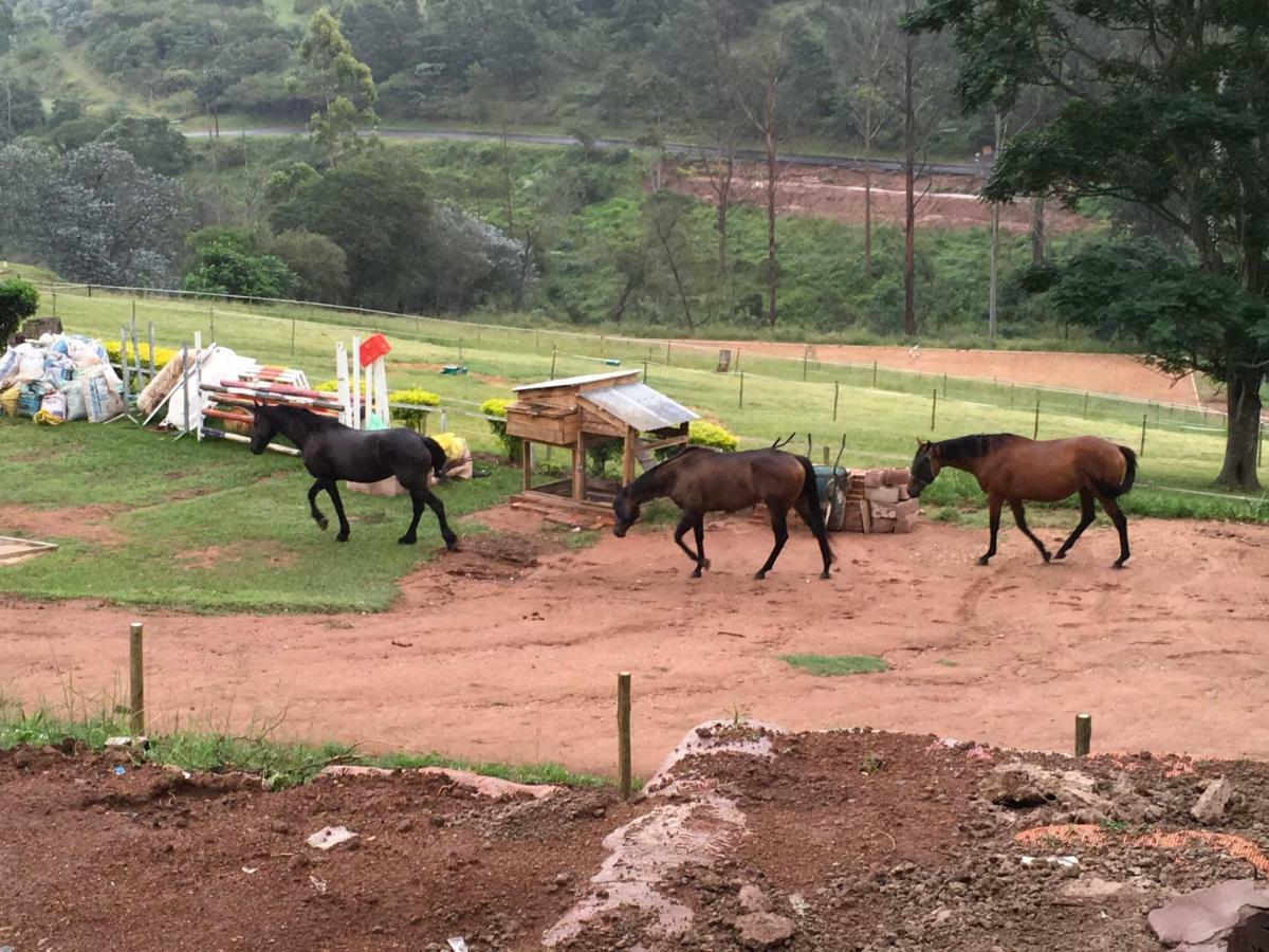 Cavalo Guesthouse & Equestrian Estate Drummond Εξωτερικό φωτογραφία